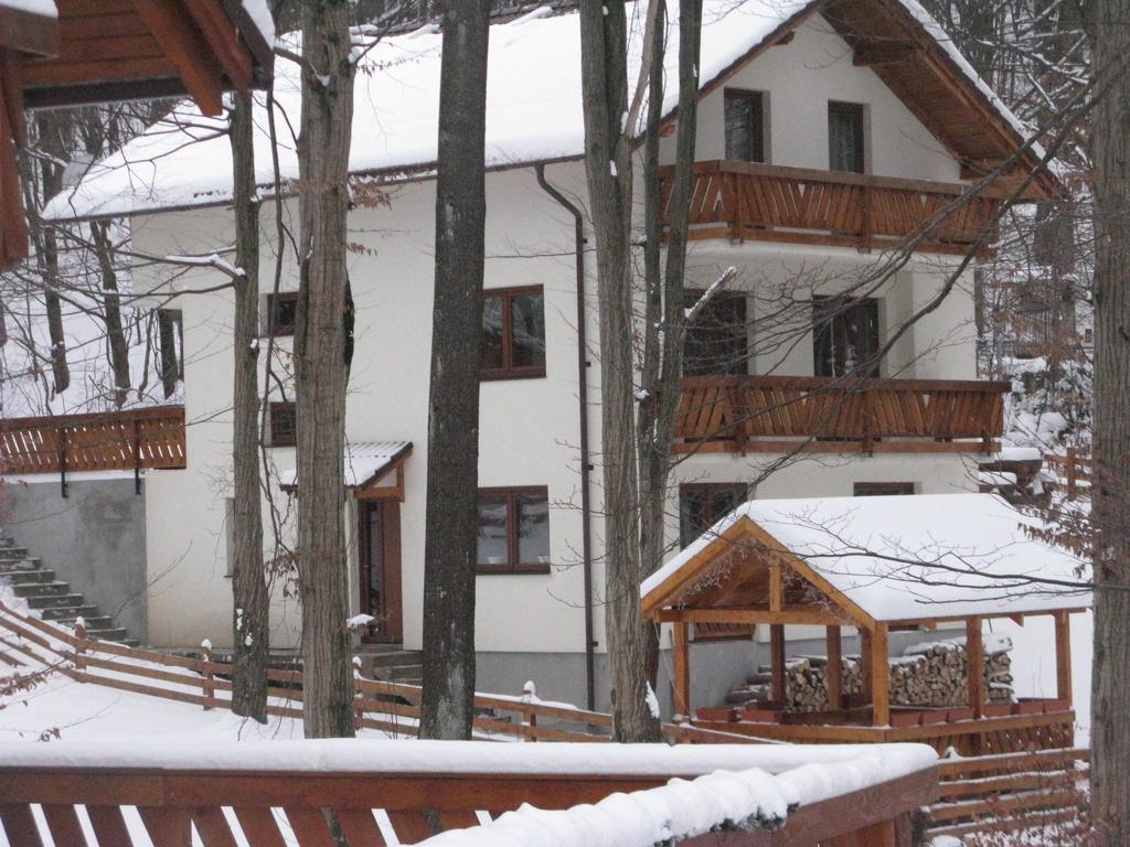 Casa De Vacanta Mogosa 拜亚斯拜 外观 照片